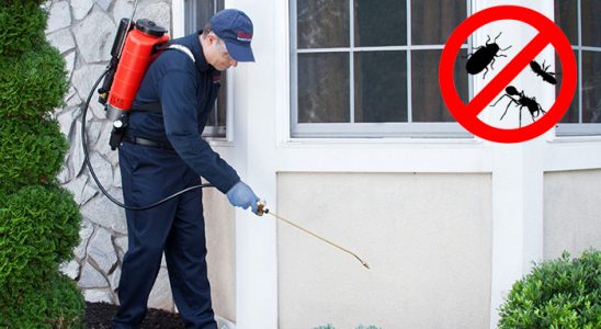 Güzelyalı Böcek ve Haşere İlaçlama böcek ilaçlama ve haşere kontrolü — ilaclama-tr.com